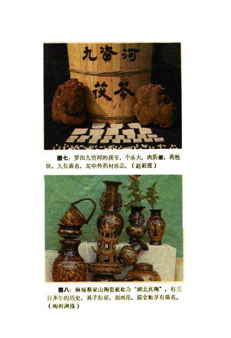《鄂东名物风味辑览》.pdf电子版_湖北省志预览图5