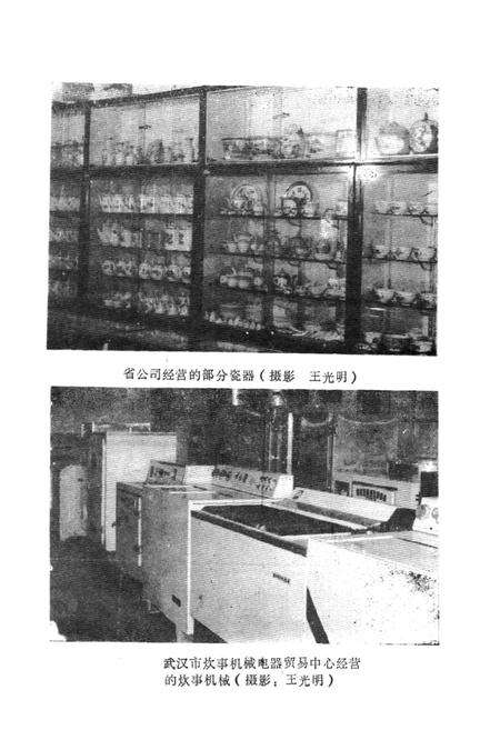 《湖北省供销合作社行业志·生活资料卷》.pdf电子版_湖北省志预览图5