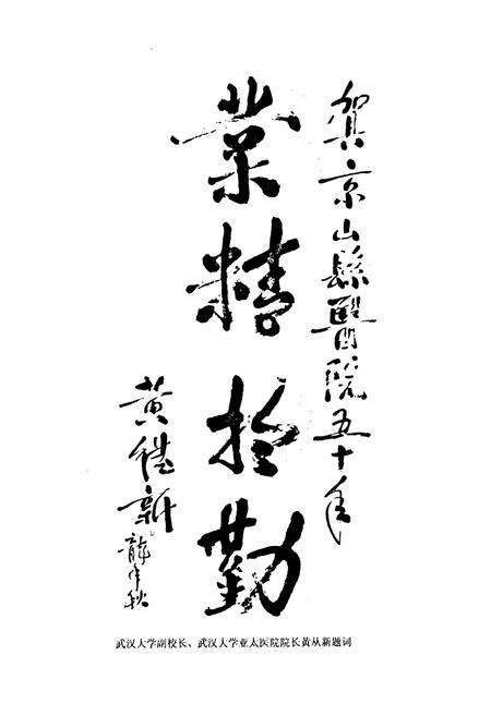 《《京山县人民医院志(1990-2000)》》.pdf电子版_湖北省志预览图2