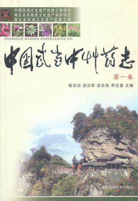 《《中国武当中草药志(第一卷)》》.pdf电子版_湖北省志缩略图