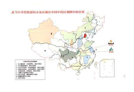 《《中国武当中草药志(第一卷)》》.pdf电子版_湖北省志预览图2
