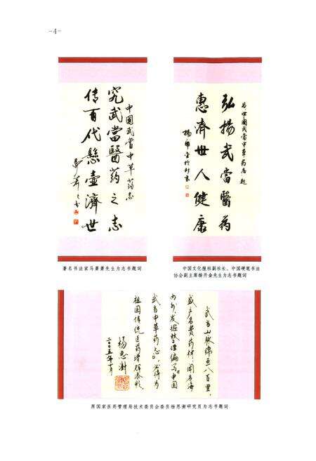 《《中国武当中草药志(第一卷)》》.pdf电子版_湖北省志预览图5