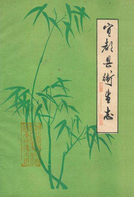 《《宜都县卫生志》》.pdf电子版_湖北省志缩略图