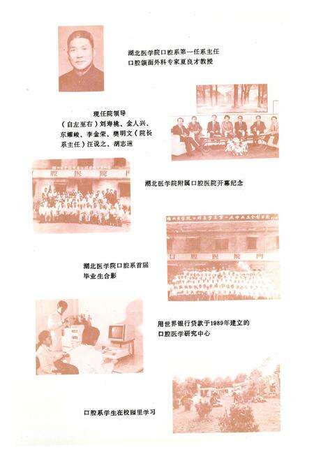 《湖北医学院口腔医院志(1960-1990)》.pdf电子版_湖北省志预览图2