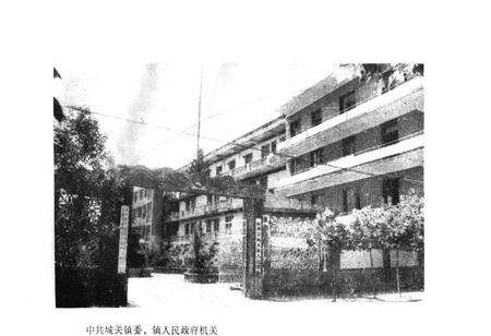 《《新洲县城关镇志》》.pdf电子版_湖北省志预览图5