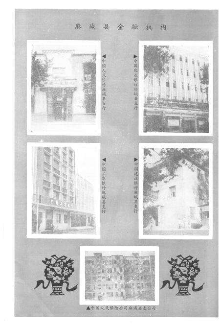 《《麻城县金融志》(1871-1985)》.pdf电子版_湖北省志预览图3