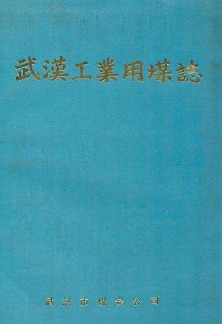 《武汉工业用煤志》.pdf电子版_湖北省志缩略图