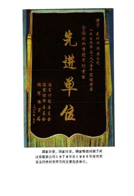 《武汉工业用煤志》.pdf电子版_湖北省志预览图4