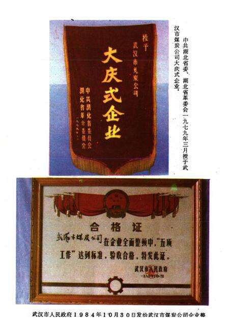 《武汉工业用煤志》.pdf电子版_湖北省志预览图5