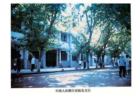 《《安陆县金融志》(1843-1985)》.pdf电子版_湖北省志预览图3