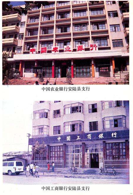 《《安陆县金融志》(1843-1985)》.pdf电子版_湖北省志预览图4