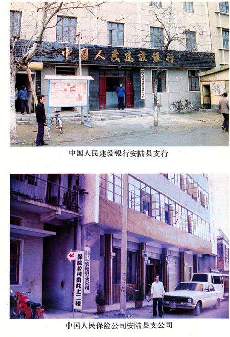 《《安陆县金融志》(1843-1985)》.pdf电子版_湖北省志预览图5