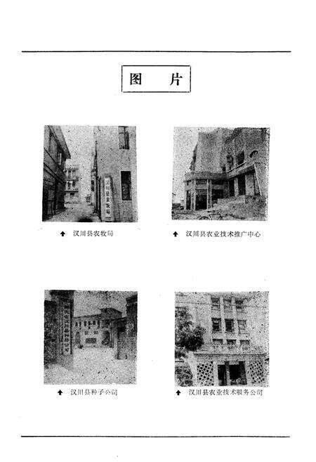 《《汉川农牧志》》.pdf电子版_湖北省志预览图5