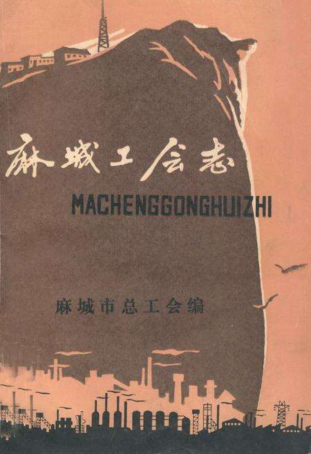 《《麻城工会志》》.pdf电子版_湖北省志缩略图