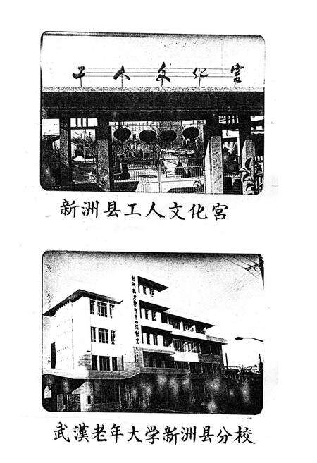 《《新洲县政党社团志》》.pdf电子版_湖北省志预览图5