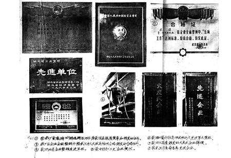 《《厂志》(1958-1985)》.pdf电子版_湖北省志预览图1