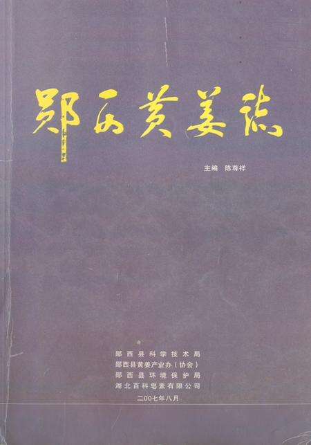 《《郧西县黄姜志》》.pdf电子版_湖北省志缩略图