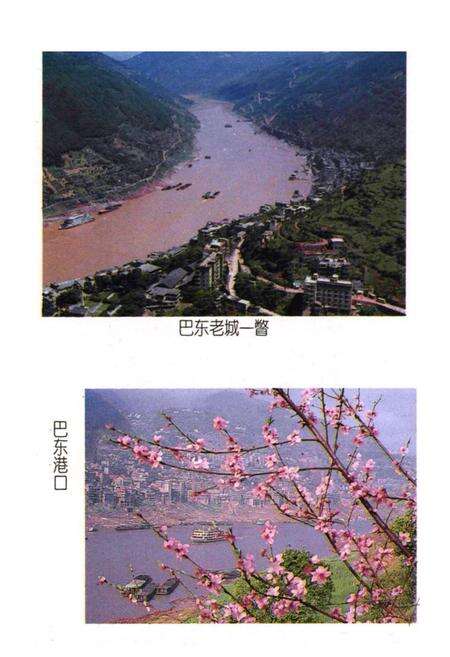 《巴东县民族志》.pdf电子版_湖北省志预览图2