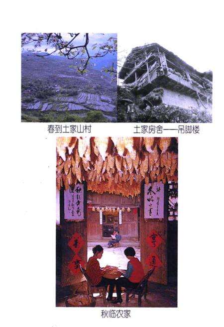 《巴东县民族志》.pdf电子版_湖北省志预览图3