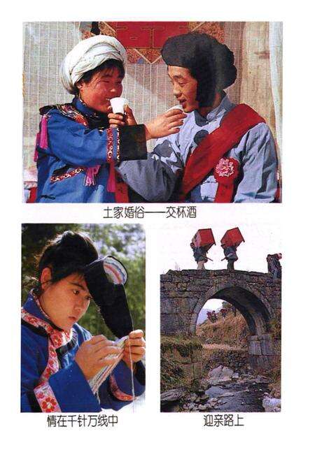 《巴东县民族志》.pdf电子版_湖北省志预览图4