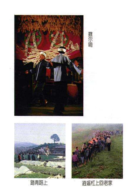 《巴东县民族志》.pdf电子版_湖北省志预览图5