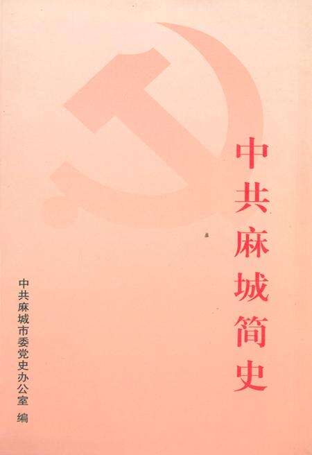 《中共麻城简史》.pdf电子版_湖北省志缩略图