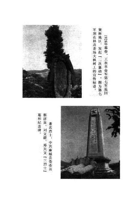 《中共麻城简史》.pdf电子版_湖北省志预览图3