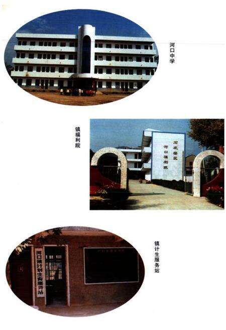 《河口志》.pdf电子版_湖北省志预览图5
