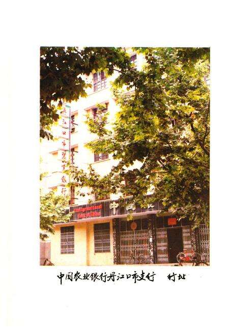 《《湖北省丹江口市金融志》》.pdf电子版_湖北省志预览图3