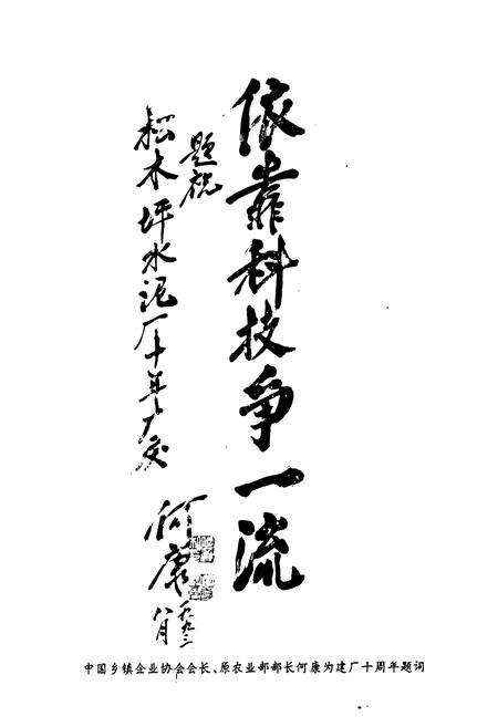 《湖北省松木坪水泥厂厂志(1983年-1993年)》.pdf电子版_湖北省志预览图3