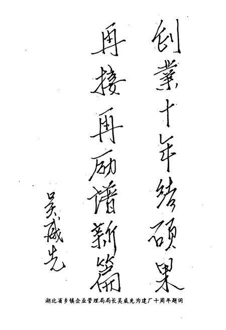 《湖北省松木坪水泥厂厂志(1983年-1993年)》.pdf电子版_湖北省志预览图5