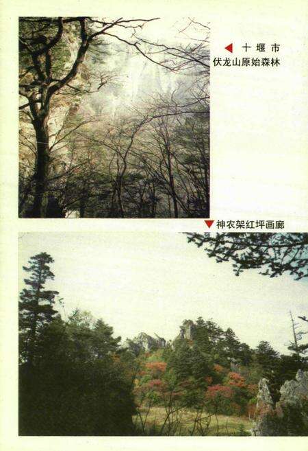 《鄂西北胜境志》.pdf电子版_湖北省志预览图5