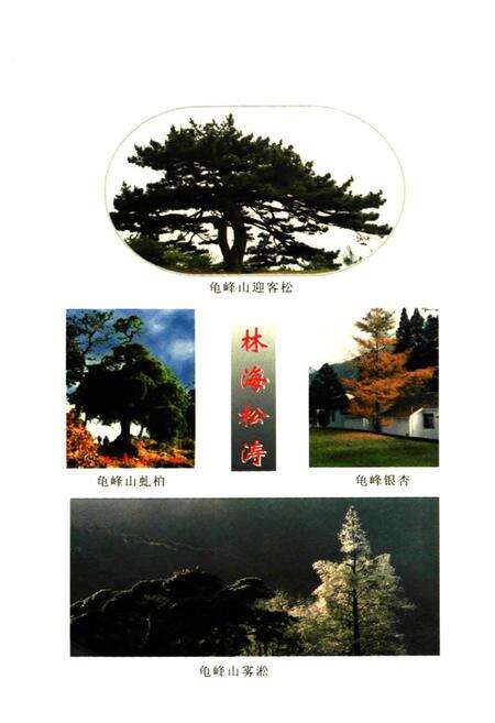 《龟峰山揽胜》.pdf电子版_湖北省志预览图4