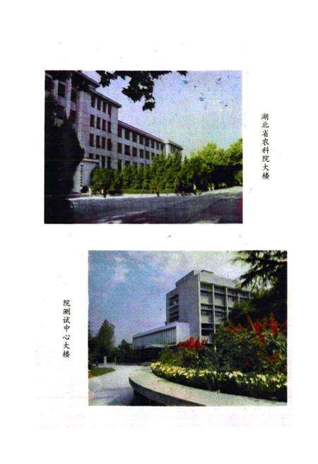 《《湖北省农业科学院志》》.pdf电子版_湖北省志预览图2