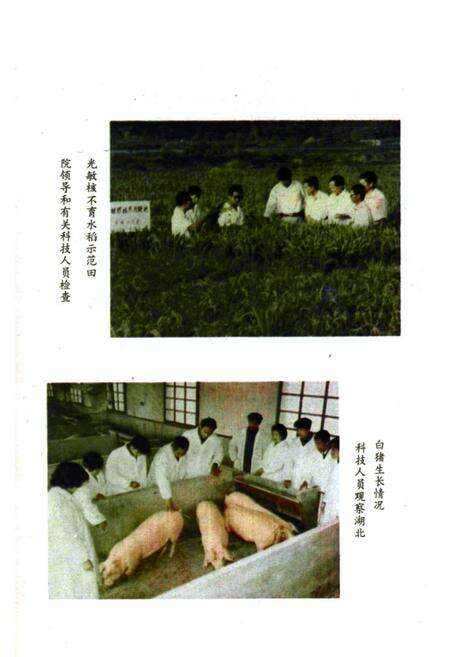 《《湖北省农业科学院志》》.pdf电子版_湖北省志预览图3