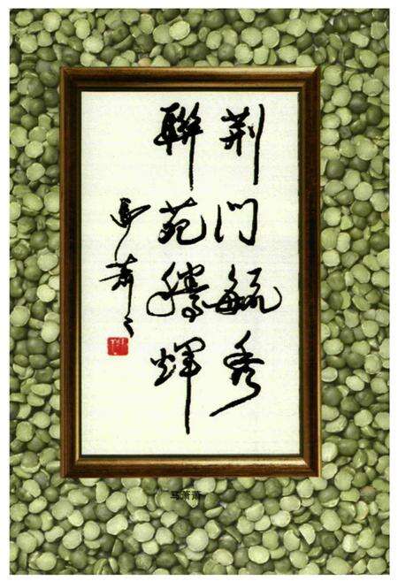 《《中国对联集成湖北卷·荆门分卷》》.pdf电子版_湖北省志预览图3