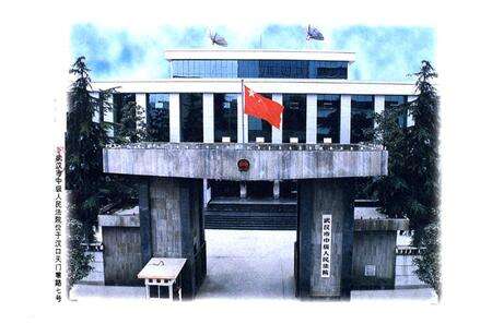 《武汉法院志(大事记)》.pdf电子版_湖北省志预览图2