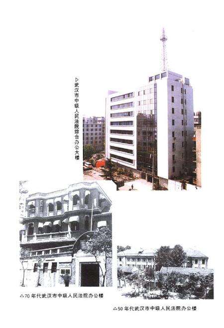 《武汉法院志(大事记)》.pdf电子版_湖北省志预览图3