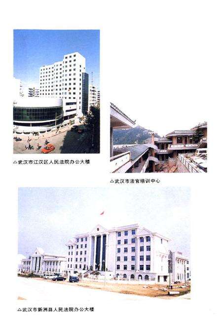 《武汉法院志(大事记)》.pdf电子版_湖北省志预览图4