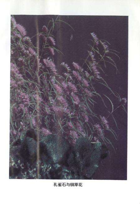 《铜绿山矿志》.pdf电子版_湖北省志预览图5