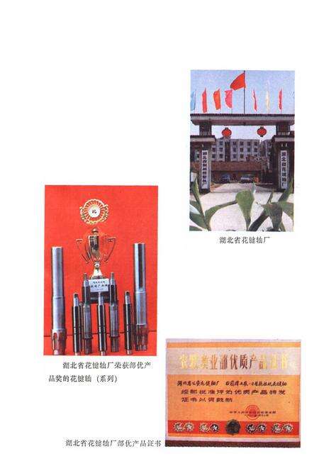 《《公安县农业机械志》》.pdf电子版_湖北省志预览图5