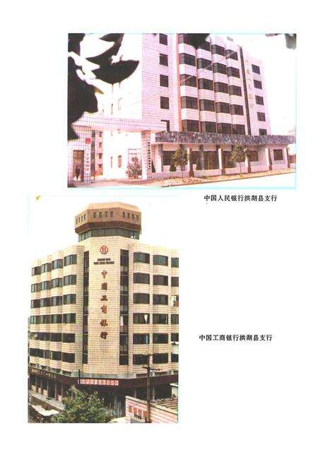 《《洪湖县金融志(1811-1987)》》.pdf电子版_湖北省志预览图3