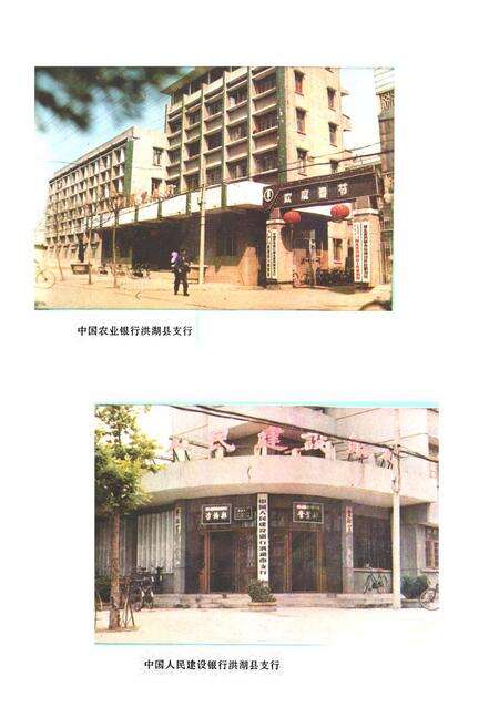 《《洪湖县金融志(1811-1987)》》.pdf电子版_湖北省志预览图4