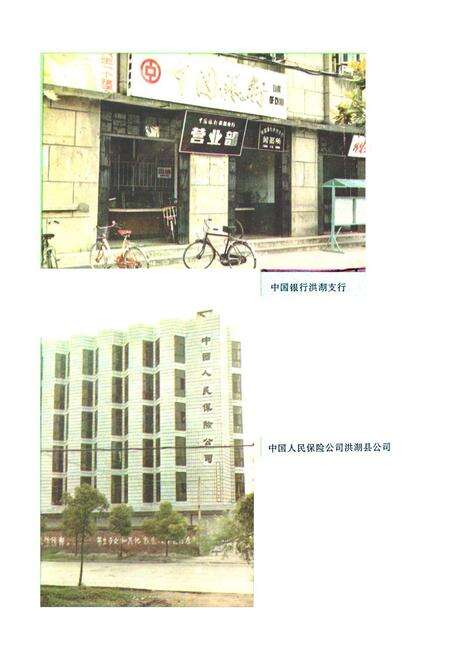 《《洪湖县金融志(1811-1987)》》.pdf电子版_湖北省志预览图5