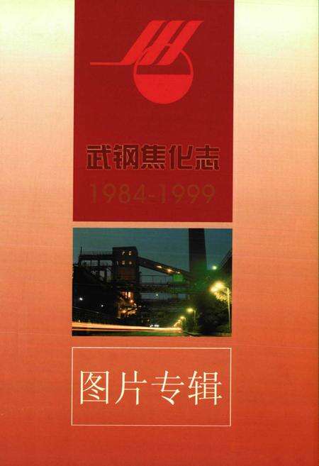 《《武钢焦化志》(1984-1999)》.pdf电子版_湖北省志预览图2