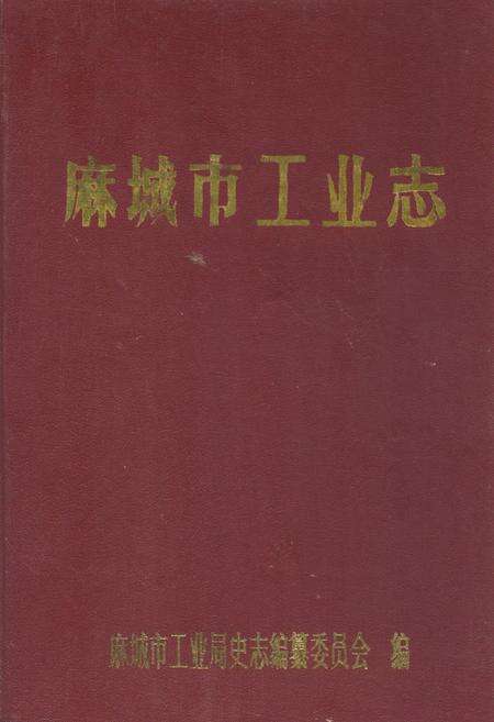 《《麻城市工业志》》.pdf电子版_湖北省志缩略图