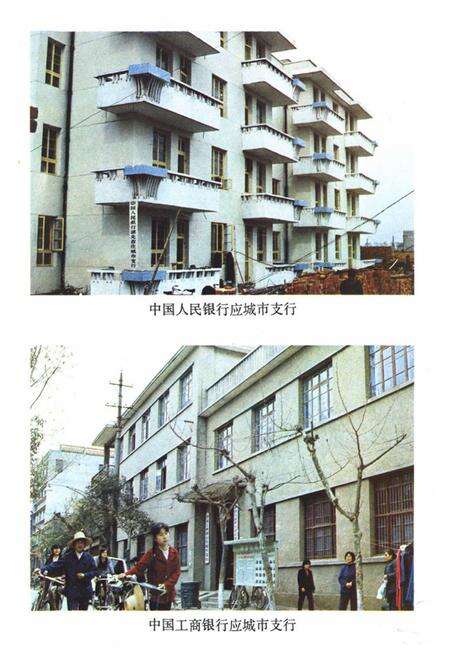 《《应城县金融志》》.pdf电子版_湖北省志预览图5