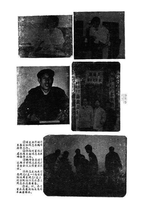 《《鹤峰县畜禽疫病志》》.pdf电子版_湖北省志预览图5