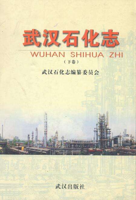 《《武汉石化志下卷》》.pdf电子版_湖北省志缩略图
