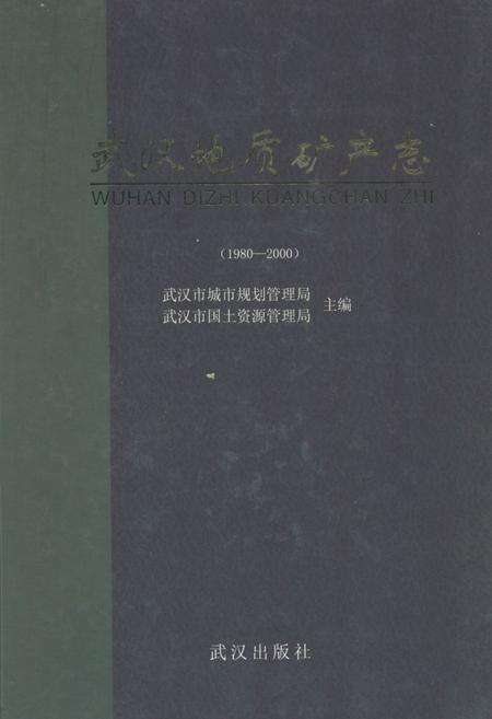 《《武汉地质矿产志》(1980-2000)》.pdf电子版_湖北省志缩略图